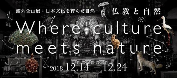 「Where culture meets nature」シリーズ第3弾「仏教と自然」:「自然史博物館が仕かける 「Where culture meets nature」展」赤坂志乃