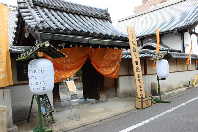 展覧会会場は、江戸幕府初代天文方・渋川春海ゆかりの龍岸寺:「自然史博物館が仕かける 「Where culture meets nature」展」赤坂志乃