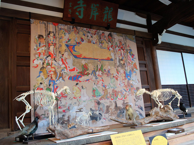 釈迦の入滅を描いた涅槃図に登場する動物たち:「自然史博物館が仕かける 「Where culture meets nature」展」赤坂志乃